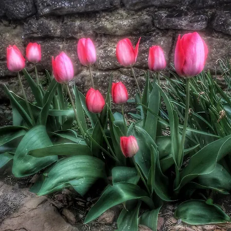El Jardin Secreto *