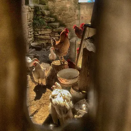 Venkovský dům El Jardin Secreto
