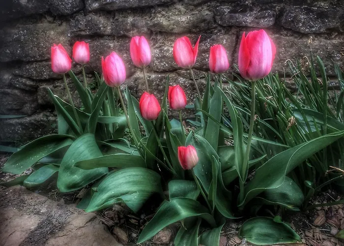 El Jardín Secreto *