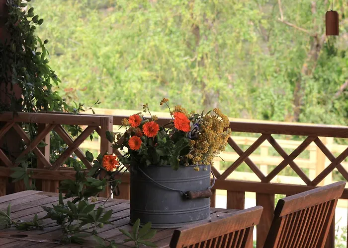 El Jardín Secreto * Orés